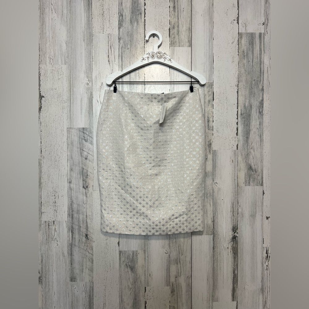 Ann Taylor Loft skirt